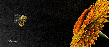 bee and flower - business card