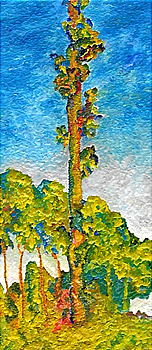 from Monet's Poplar Series - business card