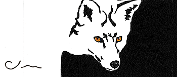 red fox - business card