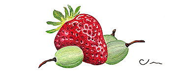strawberry and grapes - business card