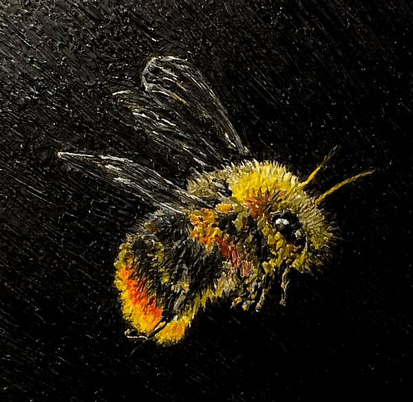 bee detail