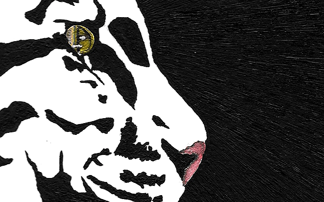 clouded Leopard -detail