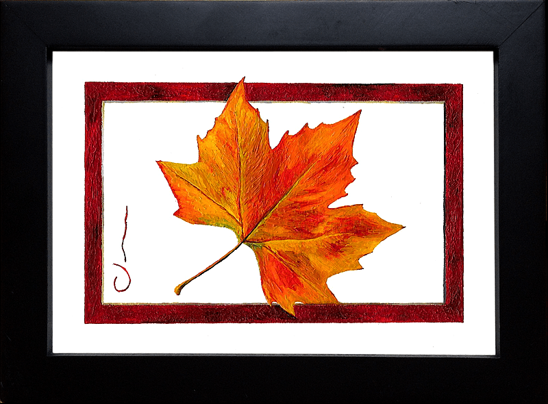 Autumn Leaf
