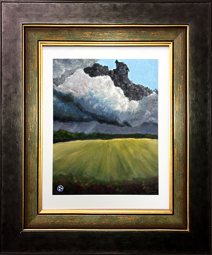 Late Summer Hayfield - Tennessee