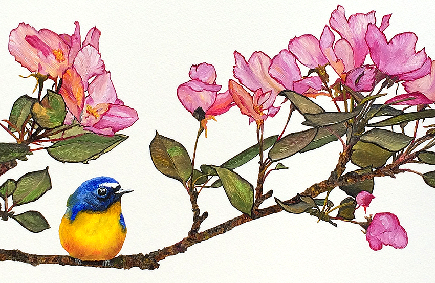 Bird, Bee, and Blossoms