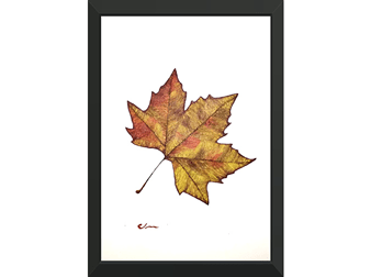 Autumn Leaf