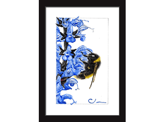 Blue Flower and Bee