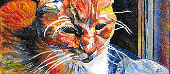 By The Window - Business Card