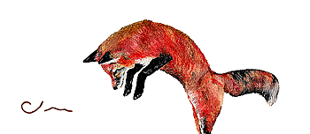 Pounce - Business Card