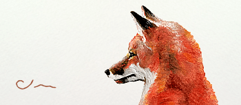 Vixen And Kit - business card