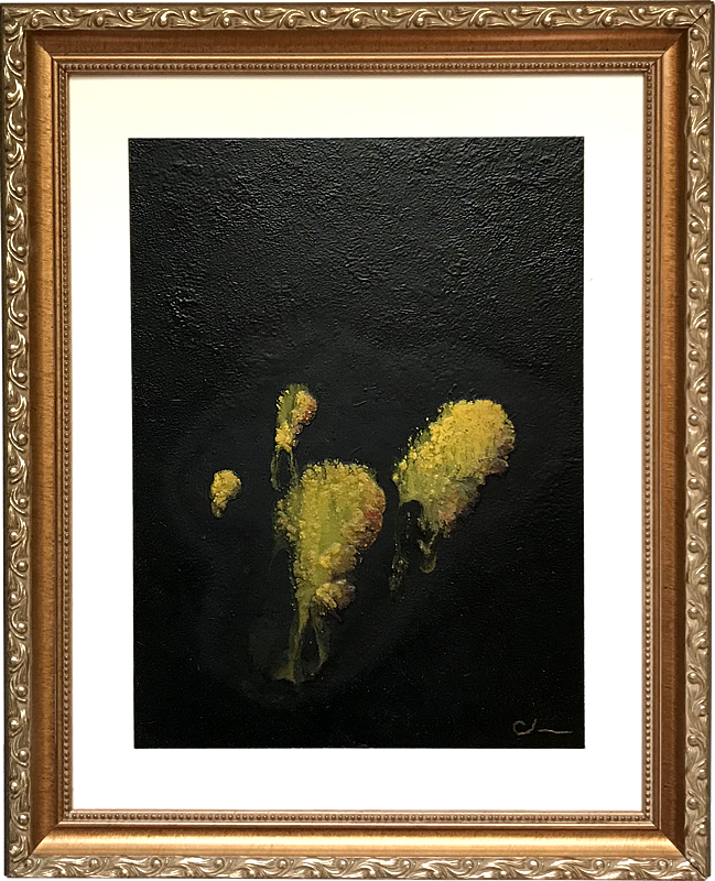 Bioluminescent Jellyfish