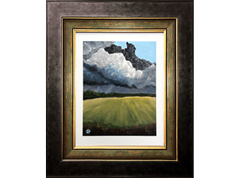 Late Summer Hayfield - Tennessee